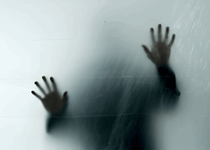 Un articolo che nessuno leggerà